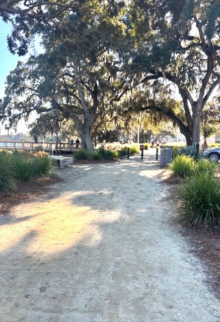 daniel islands walking trails behind the condos is the entrance to miles of walking/biking trails through the marsh, and by the water.